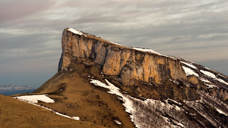 Стена фото превью