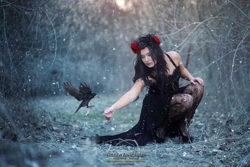 Portfolio фото превью