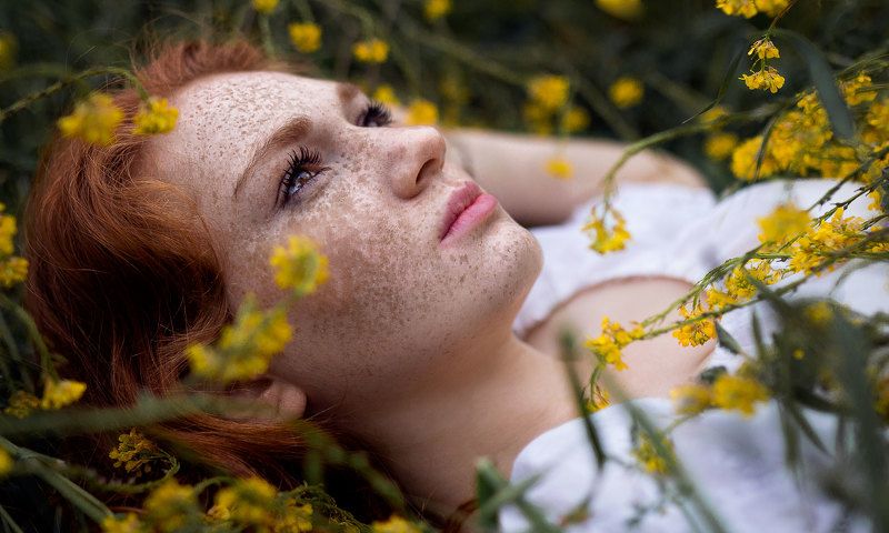 My Portfolio фото превью