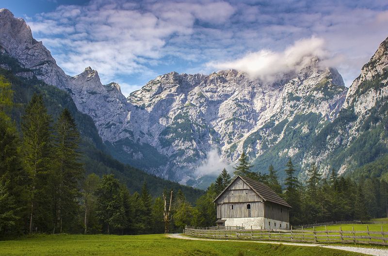 BrankoC фото превью