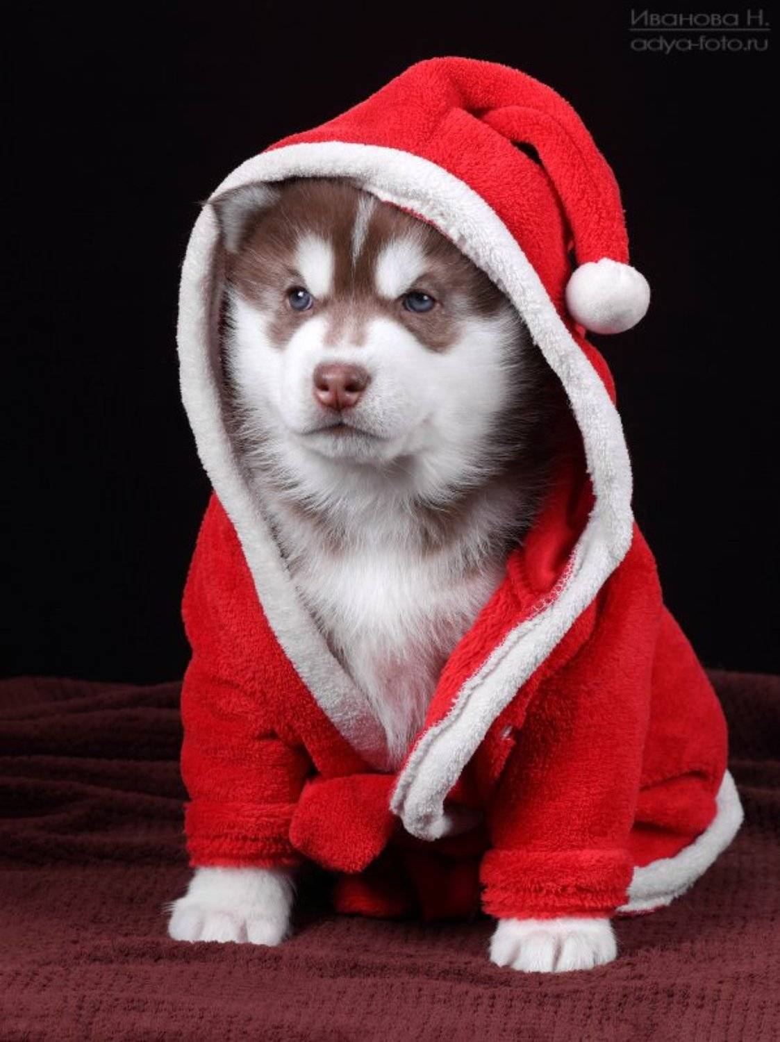 , Надежда Иванова