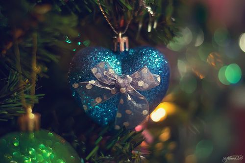 Кусочки новогодней красавицы