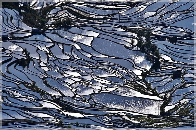 Twinkle фото превью