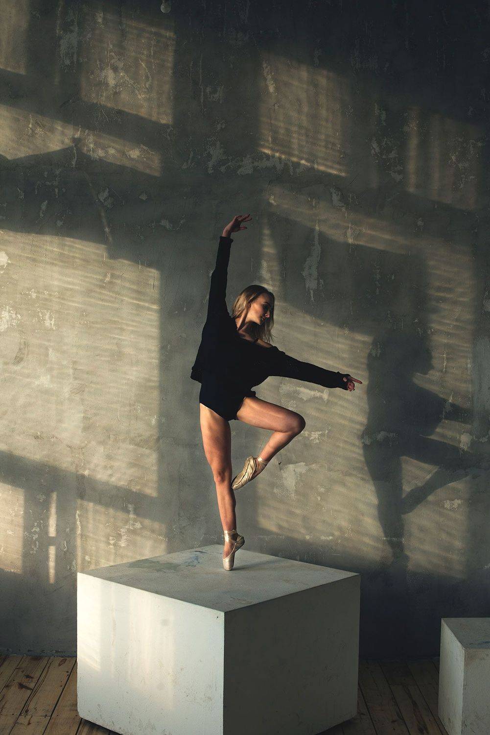 , Игорь Дмитриев