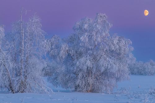 в холодном плену