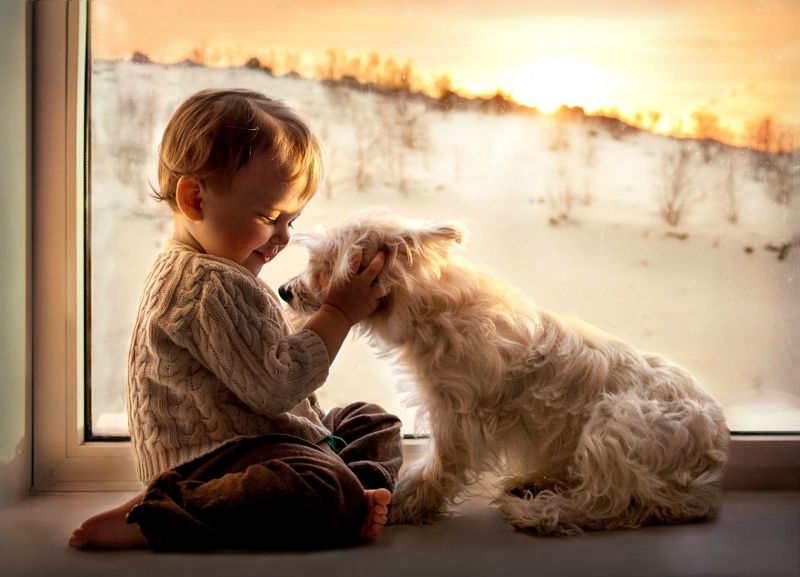 фото превью