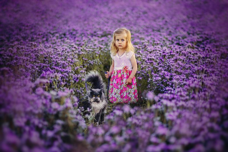 Семейные фото превью