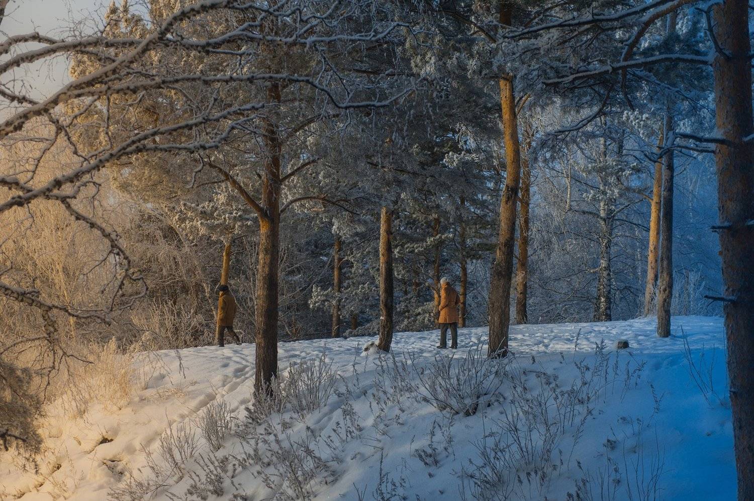 , Терра Алена