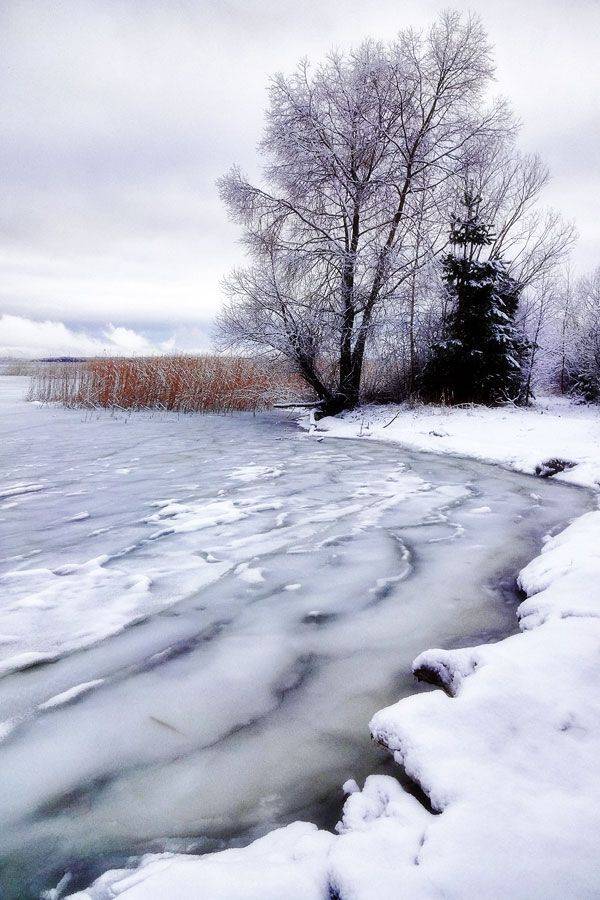 , Федотов Антон