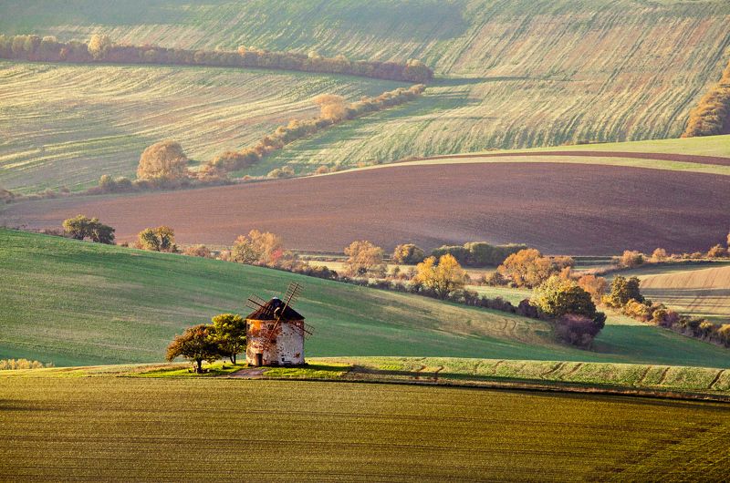 фото превью