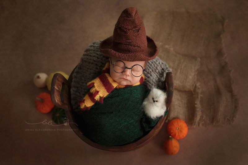 Лев | 6 дней фото превью