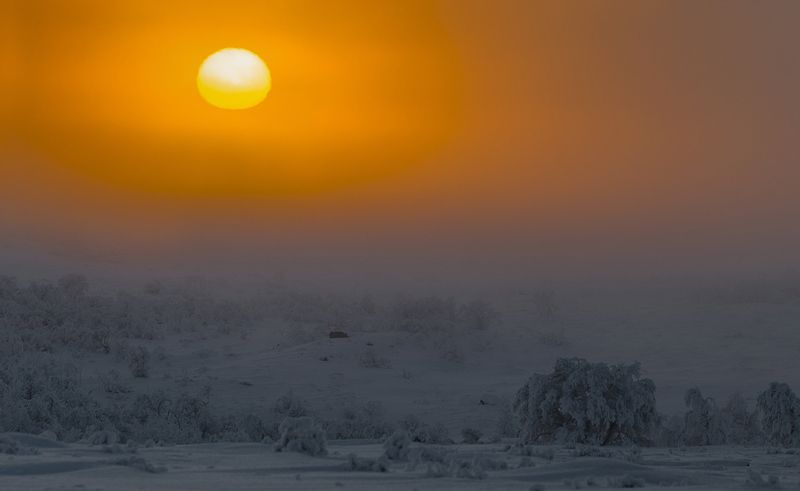 ...прошлогоднее солнце фото превью