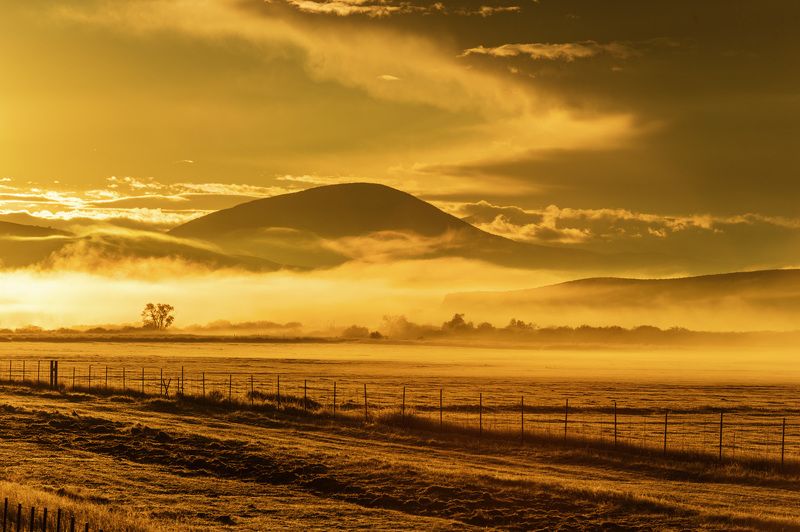 Misty morning фото превью