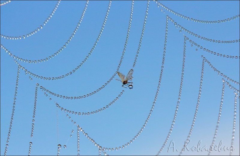 В плену фото превью