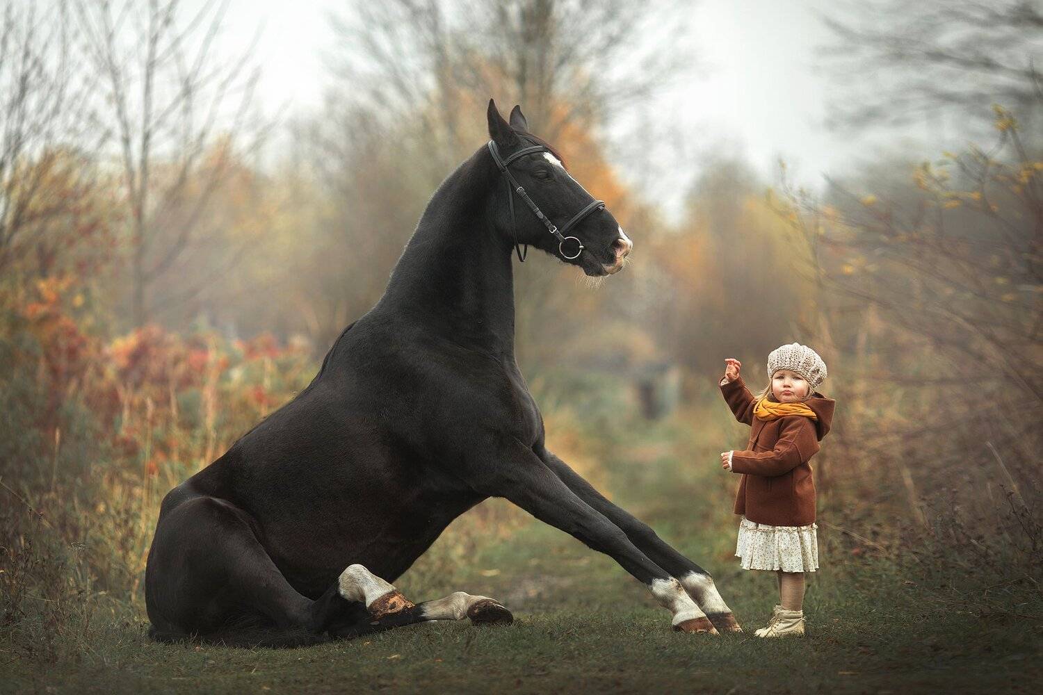 , Анюта Онтикова