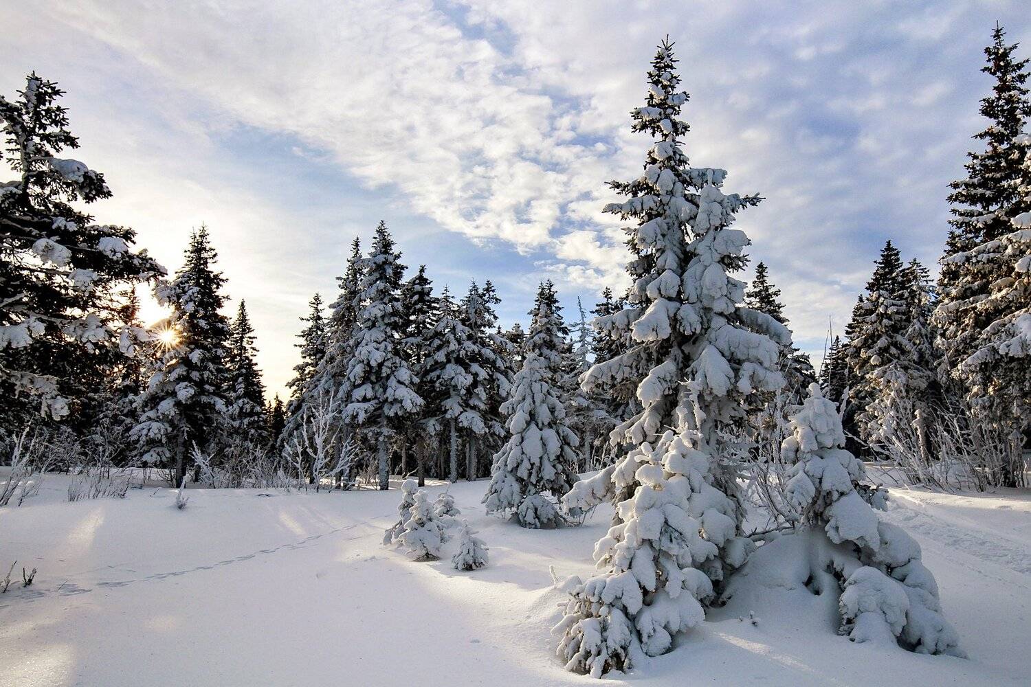 , Сергей Евдокимов