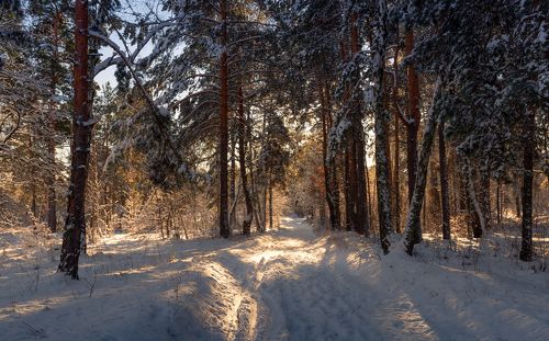 В белоснежном убранстве