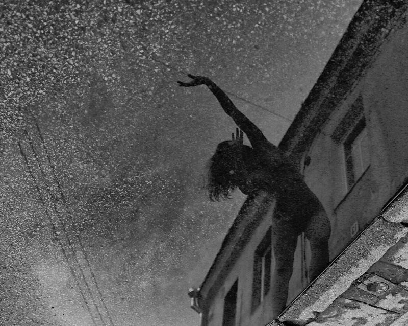 Vilnius Sublimation to Vilnius фото превью