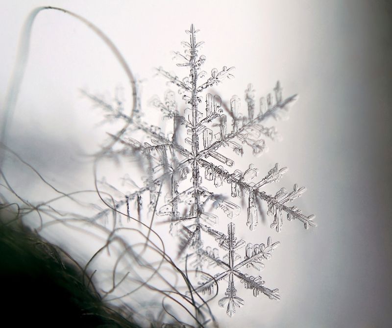 Magic World фото превью