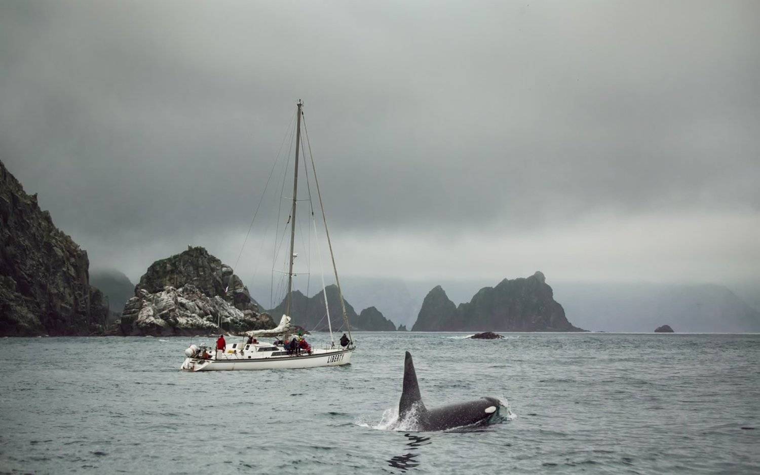 касатка,камчатка,пейзаж,яхта,судно,лодка,туман,скалы,океан,природа,день,вечер,облака,путешествие, Elena Pakhalyuk