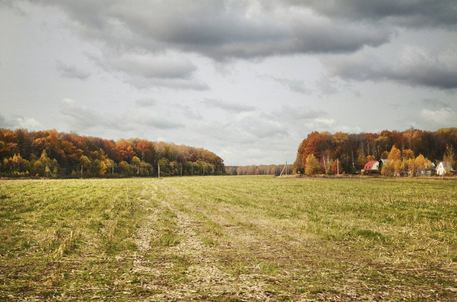 поле, октябрь, пейзаж, осень, лес, природа, небо, деревня, анна салтыкова, Anna Saltykowa