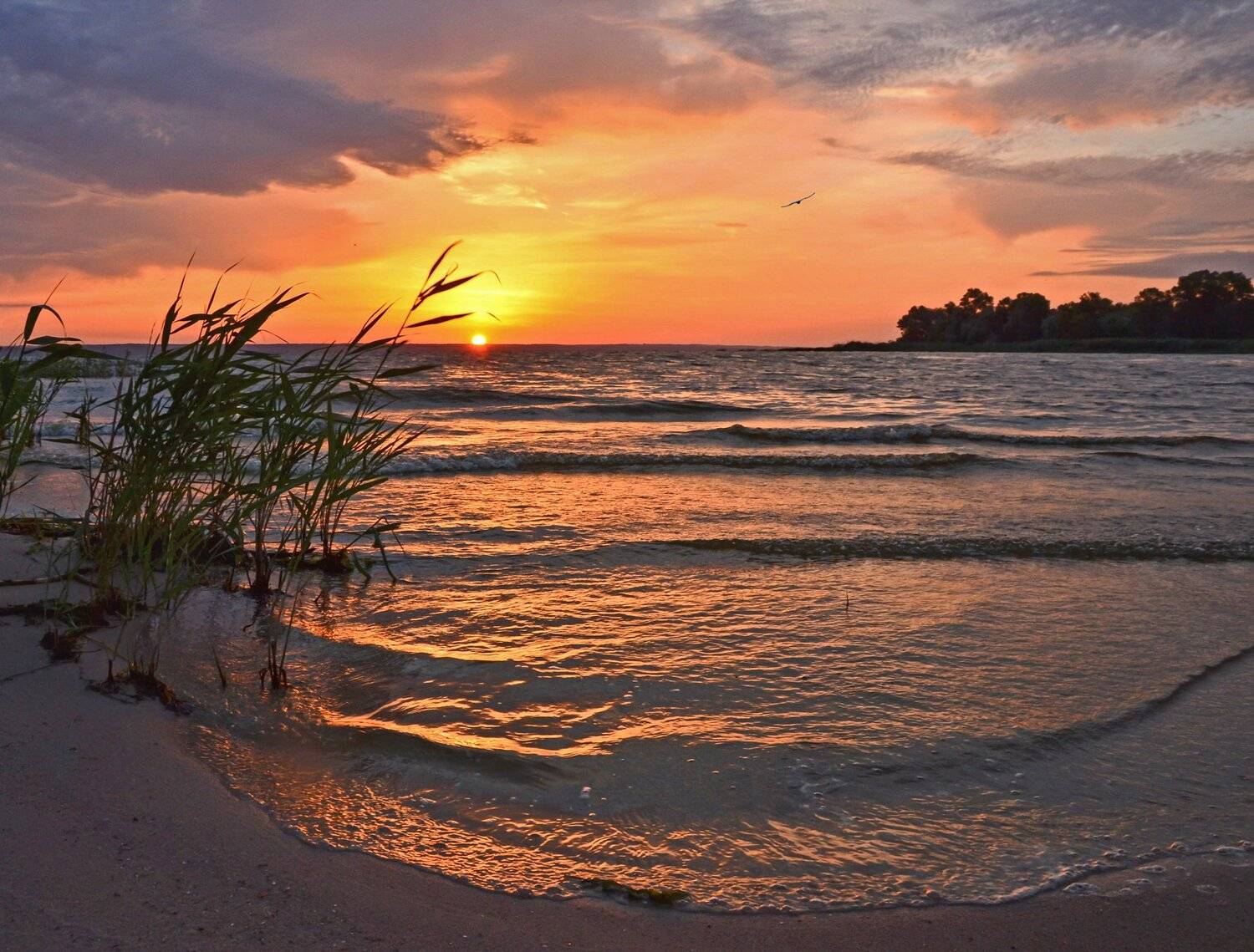 утро, рассвет, река, восход, Валерий Наумов
