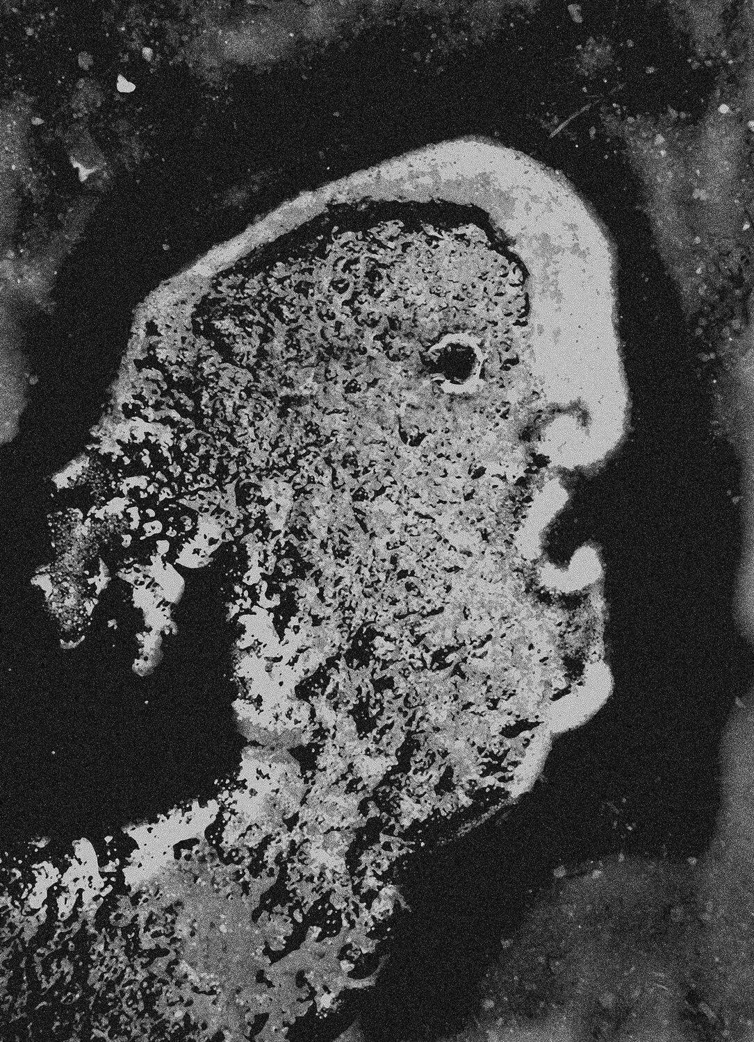 , ПОЛУЕВ ИЛЬЯ