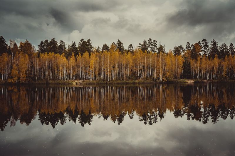 Пейзаж, осень, озеро, деревья, природа, Россия, отражение Северное озеро фото превью