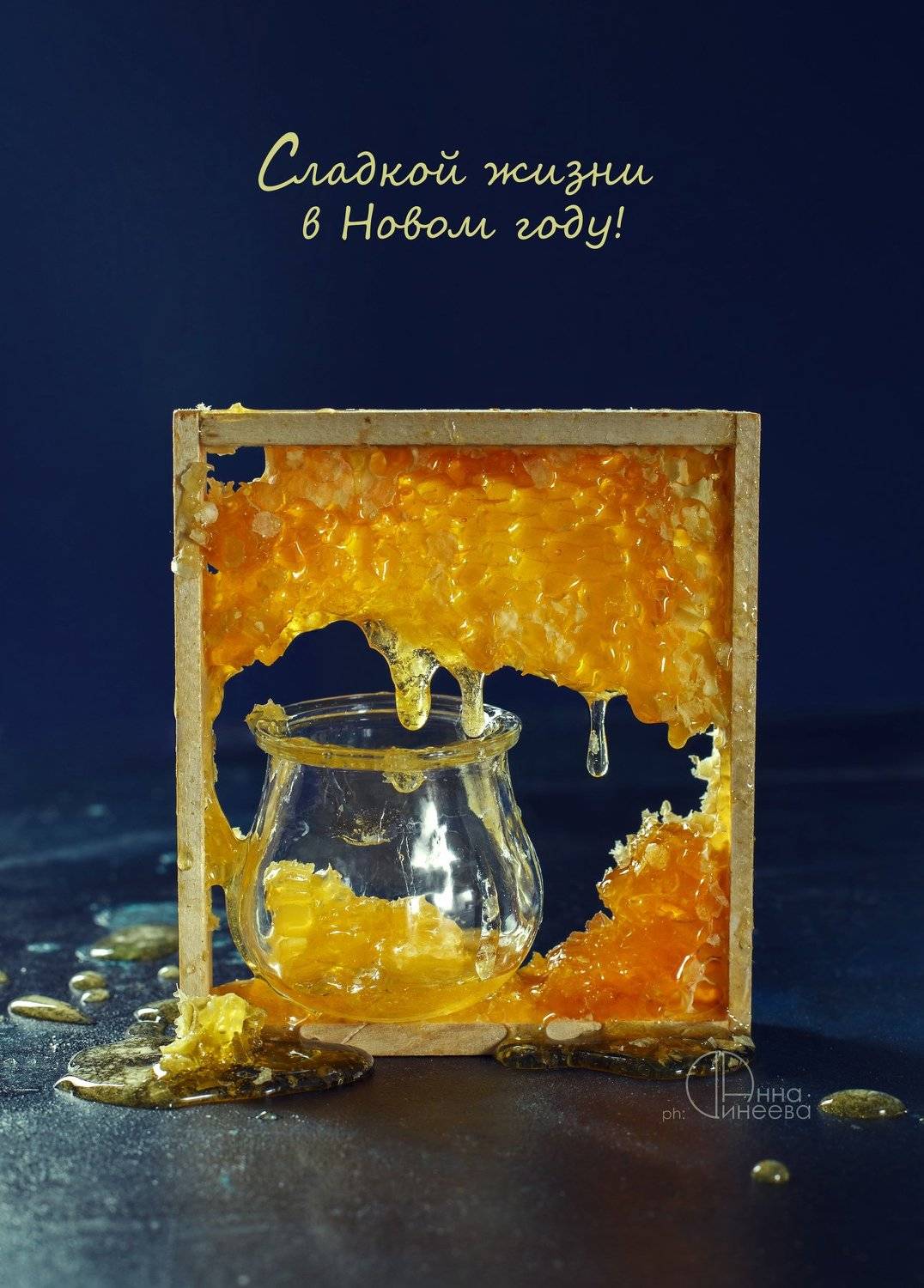 , Динеева Анна