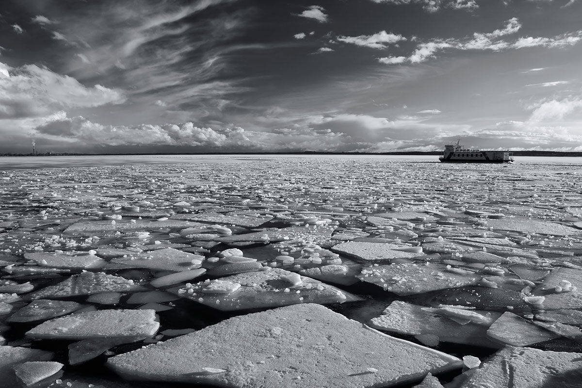 , Федотов Антон