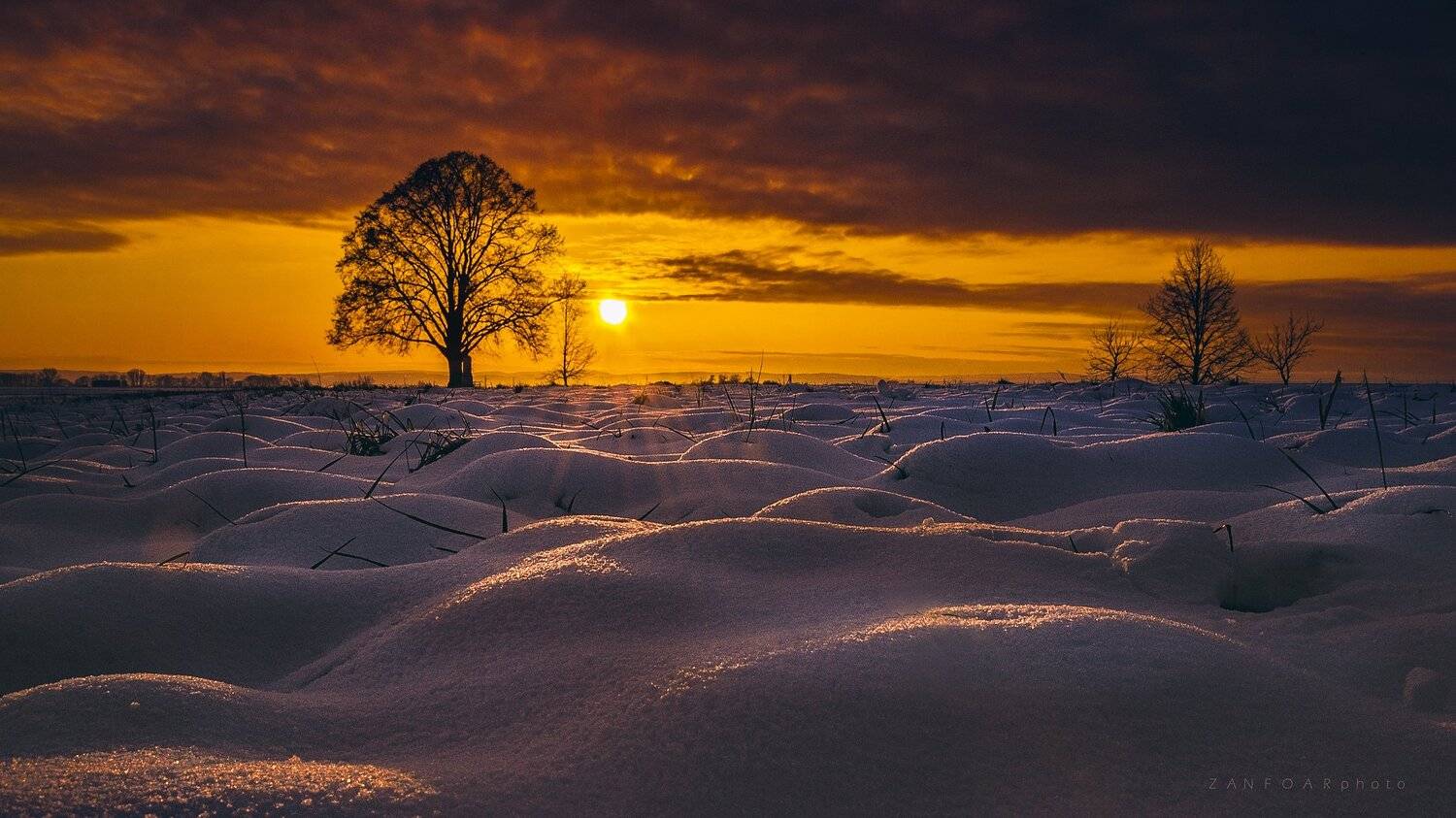 солитер,дерево, пейзаж, снег, солнце, пузыри, свечение, лучи, zanfoar, чешская республика, никон,чехия, Zanfoar