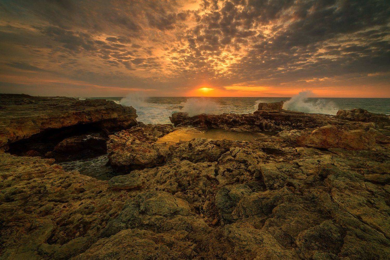 , Васил Анастасовски