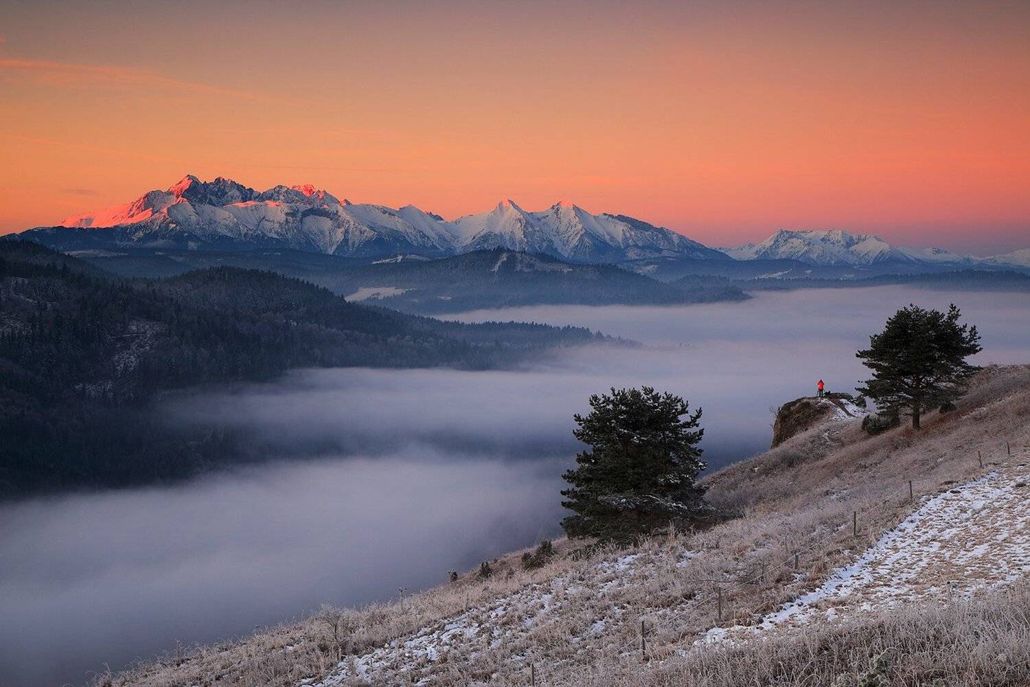 tatras, mountains, sunrise, winter, mist, mood, photographer, man, color, view, snow, slovakia, Jacek Lisiewicz