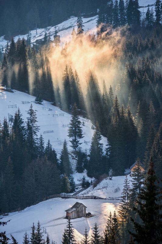 *** фото превью