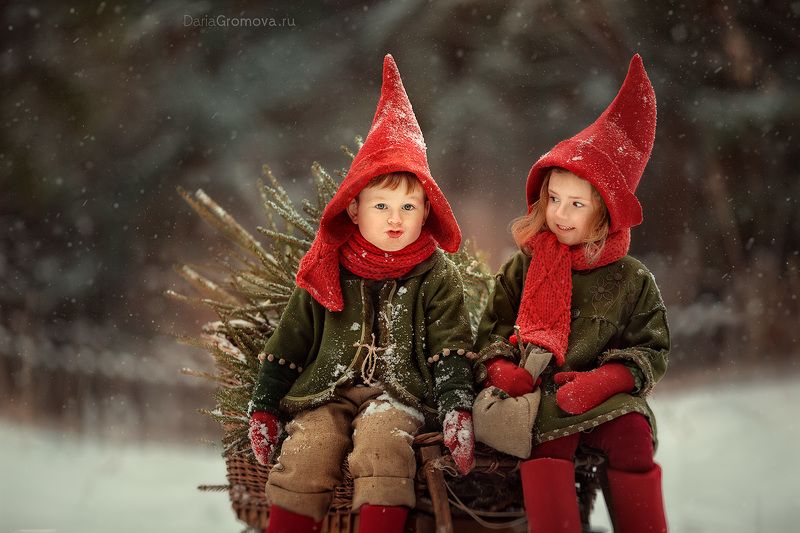 Гномы фото превью