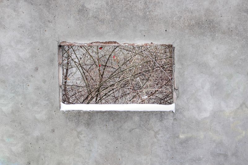 I Am Not Jackson Pollock фото превью
