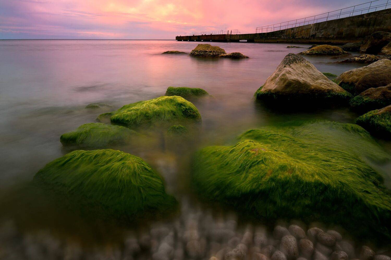 , Алексей Никонов