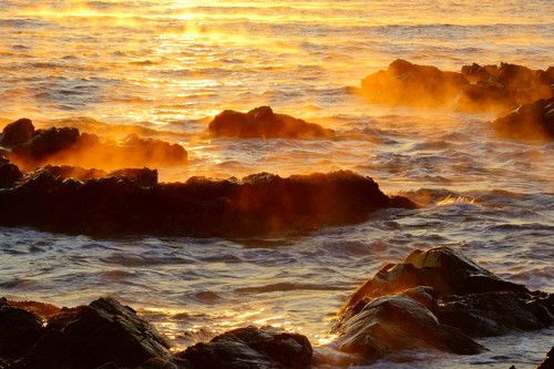 Water fog in the morning sea