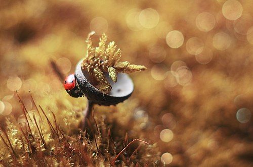 По неизведанным местам