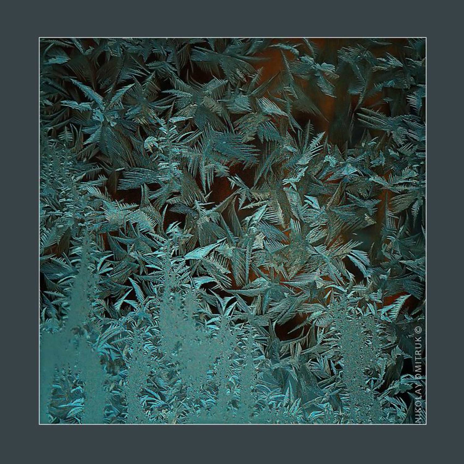 без, категории, природа, лёд, север, музыка, николай дмитрук