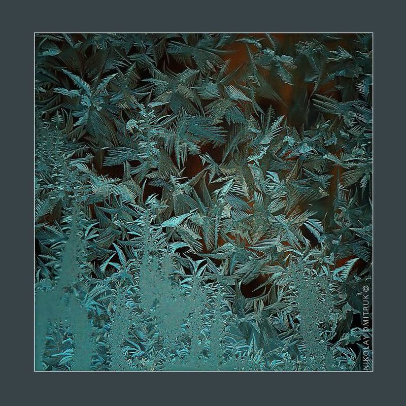 без, категории, природа, лёд, север, музыка птицы. зима. 2017 фото превью