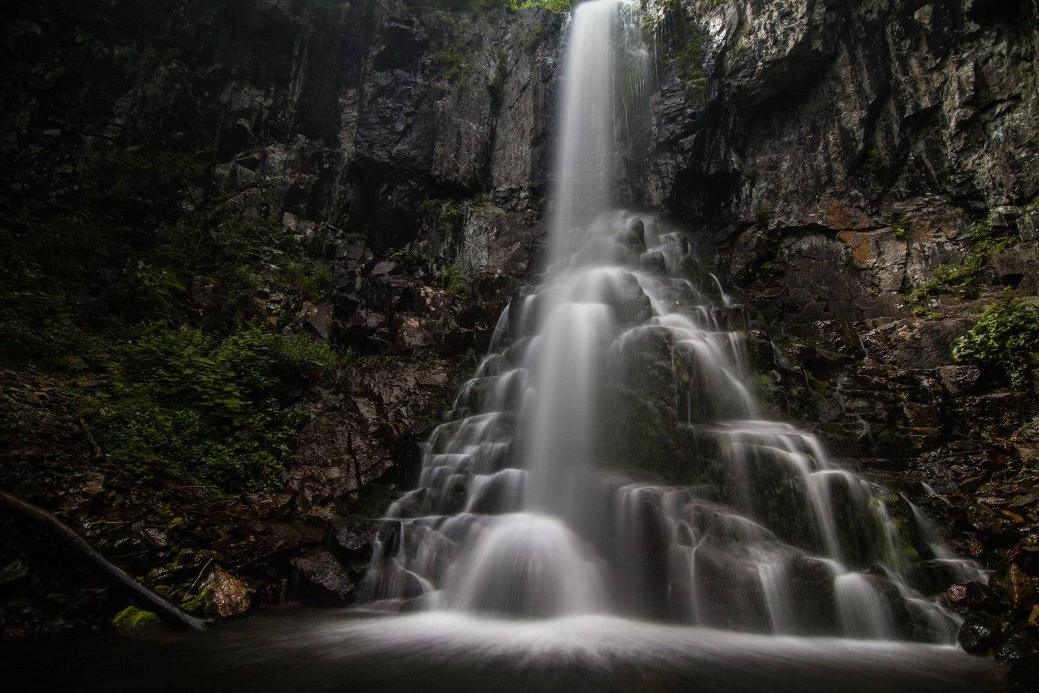 , Сигида Дмитрий