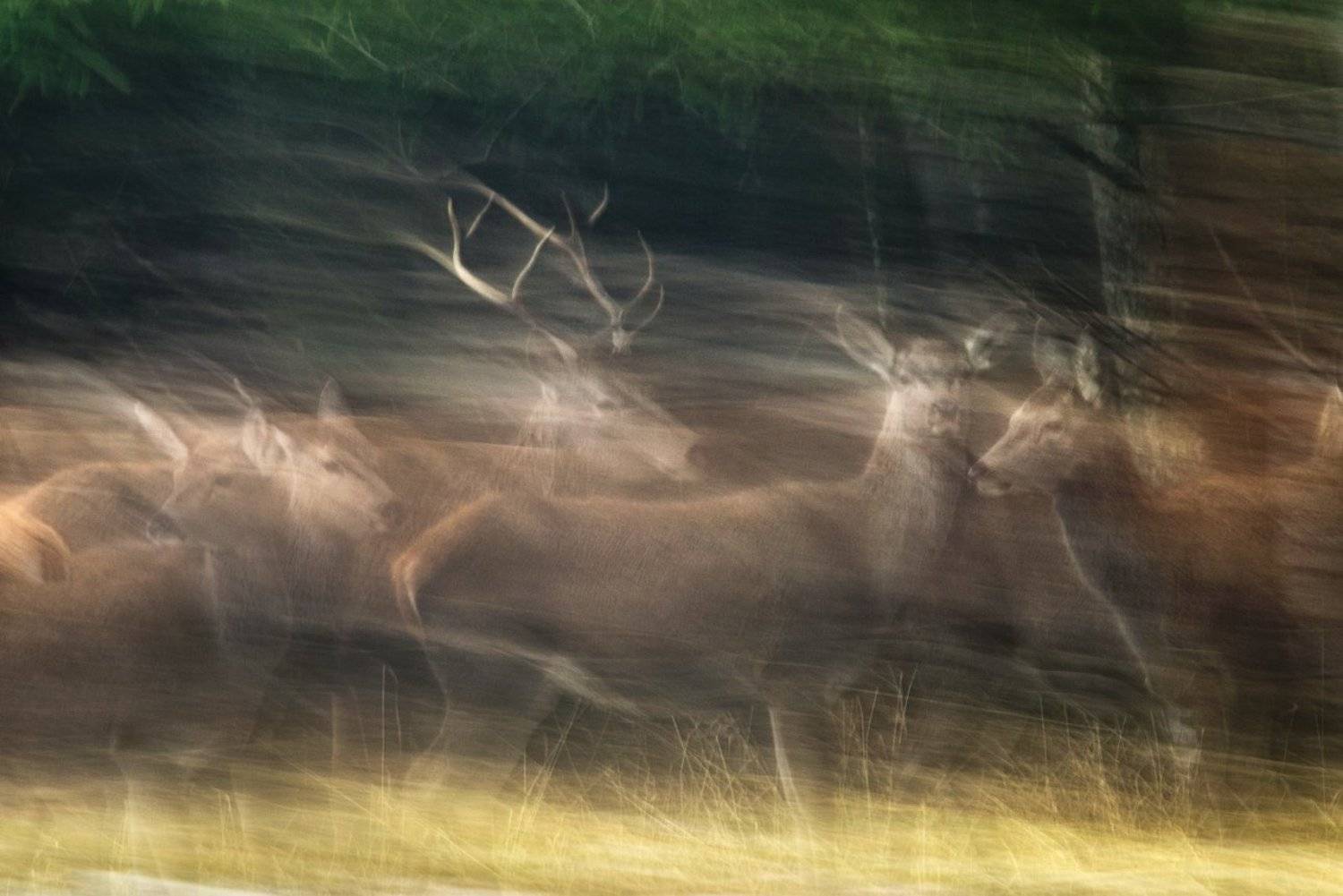 , Евгений Мельников