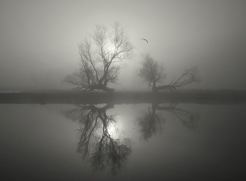 ... фото превью