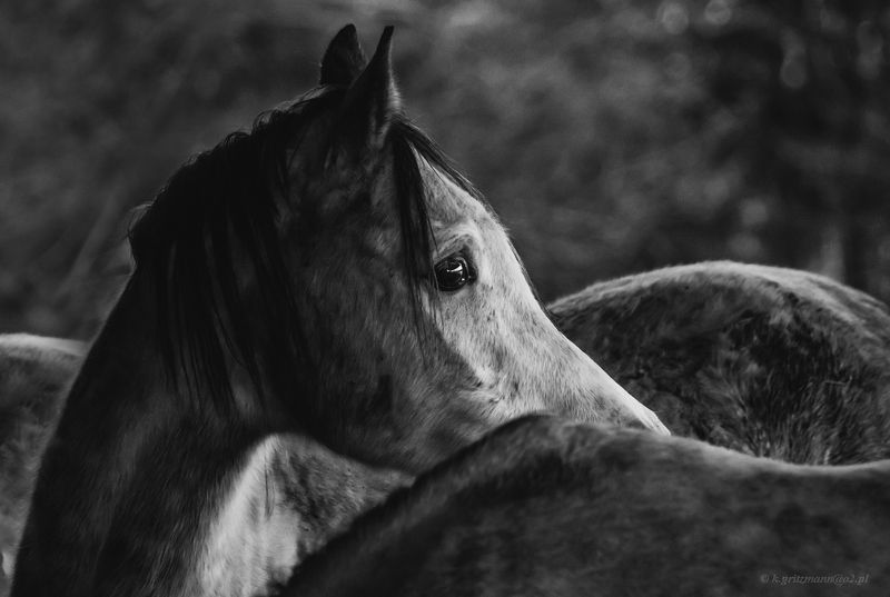 waiting фото превью