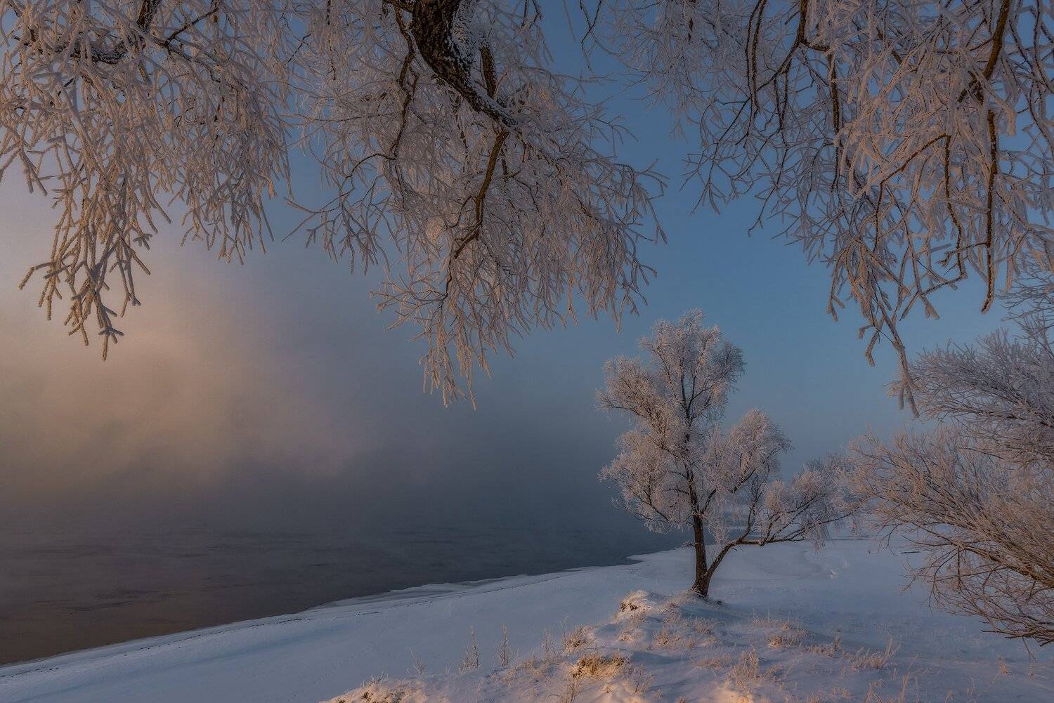 , Александр Макеев