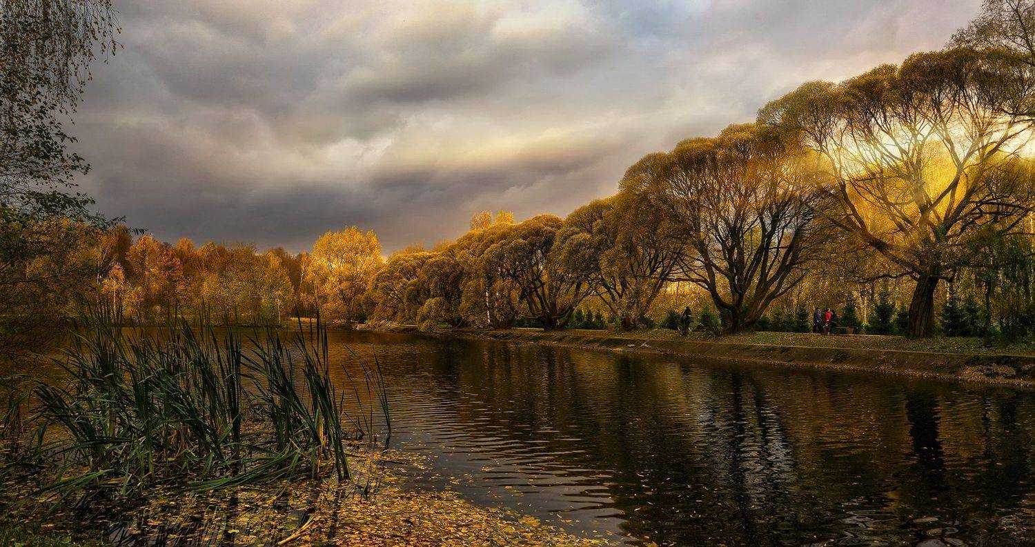 осень, пруд, городской парк, опавшие листья, облака, лучи, заходящее солнце, ивы, GaL-Lina
