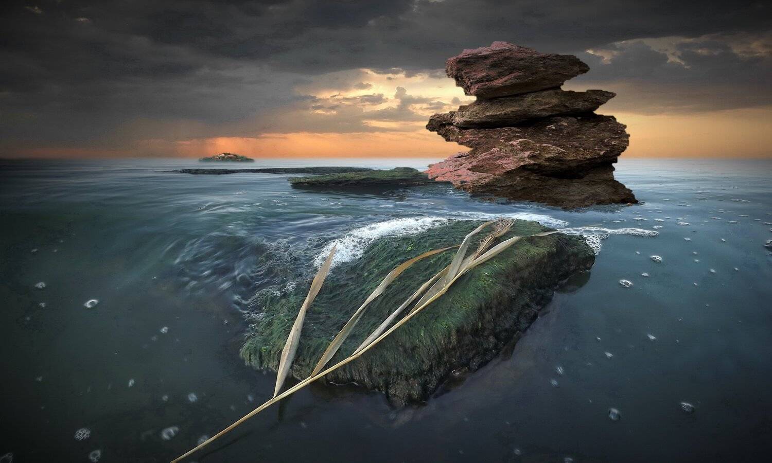 одесса, Сергей Кошелев