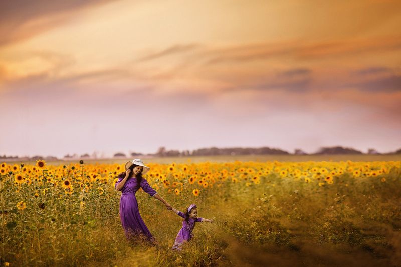 подсолнухи фото превью