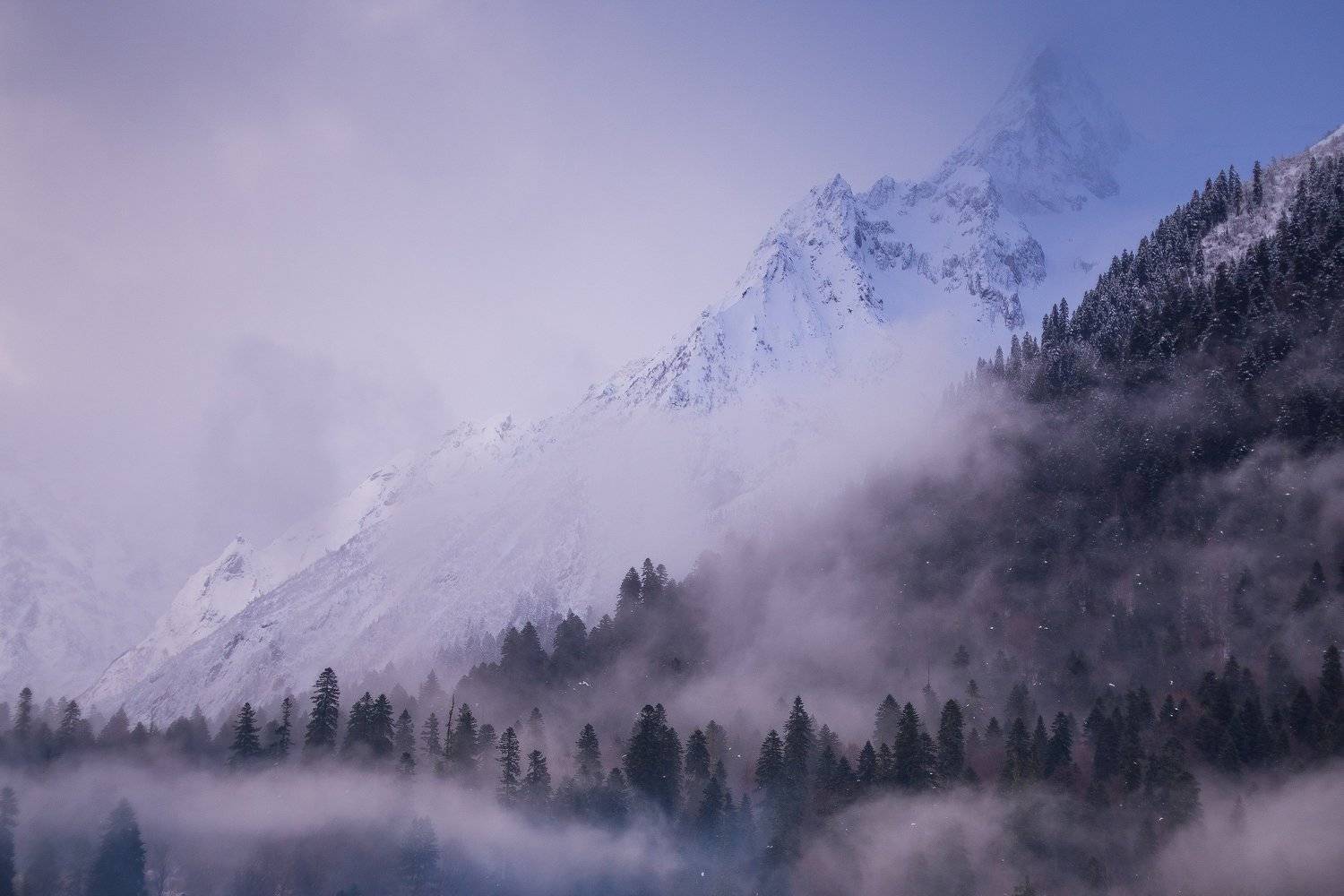 , Эдуард Перов